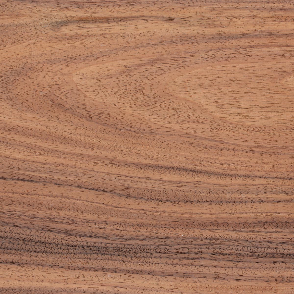 Bolivian Rosewood Thin Stock Lumber