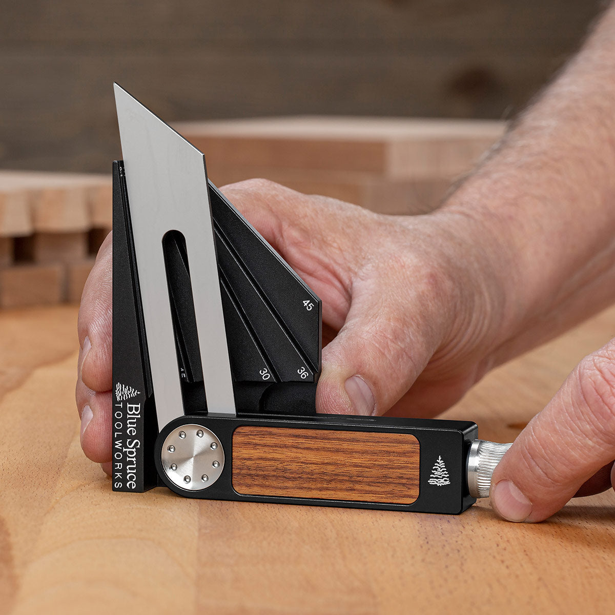 Sliding Bevel Gauge